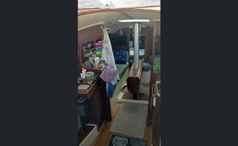 Comfortina 32-kuva-16